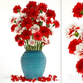Collection of flowers carnation